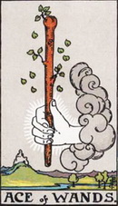 Tarot Kartları